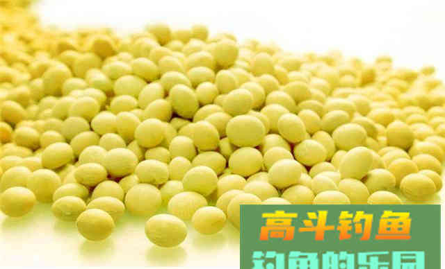 自制专钓大物的白面饵料，水库使用效果更佳