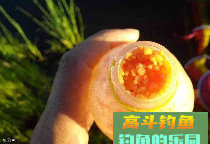 老钓鱼人压箱底的酒米配方，专钓鲫鲤