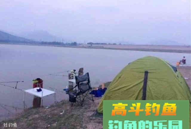 夏季转秋季垂钓鲫鱼的饵料配方