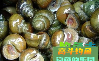 三款天然饵料秒杀各种商品饵