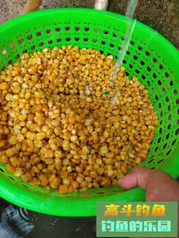 自制玉米打窝料，师傅教导好钓鱼
