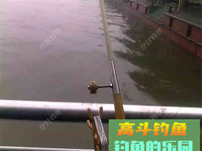 性价比超高的江鱼多功能饵料，了解下？