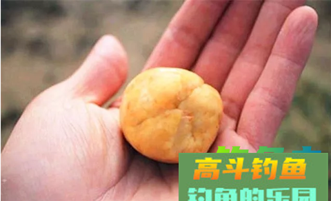 自制初秋专钓鲫鱼饵料，诱鱼聚鱼快