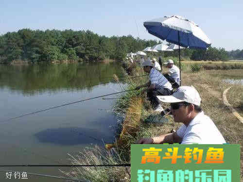 自制丁香蚯蚓饵，钓鲫鱼必备