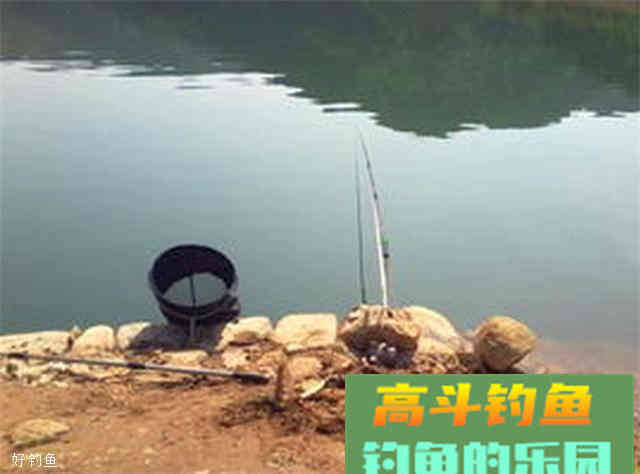 自制专钓大物的白面饵料，水库使用效果更佳