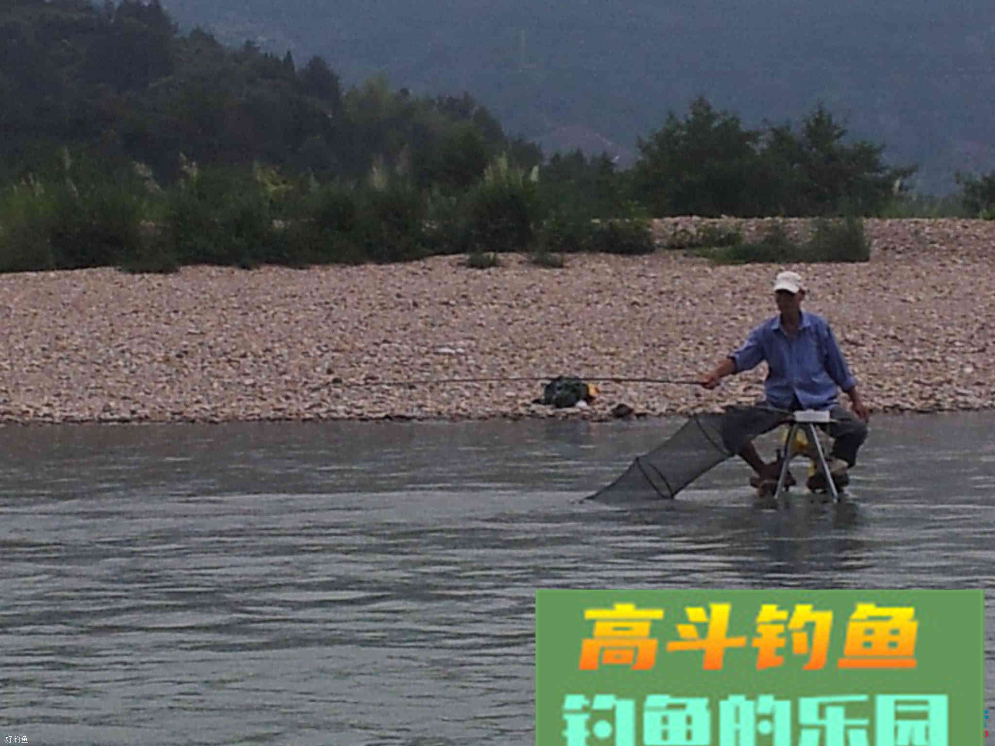 打窝钩玉米钓，老钓鱼人告诉你玉米要发酵多久