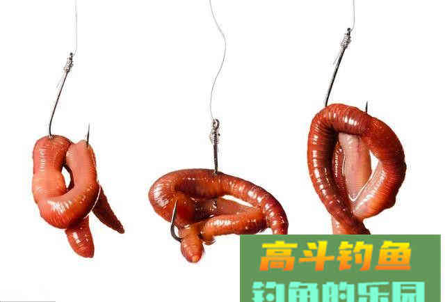 四款通杀饵料配方，总有一款适合你