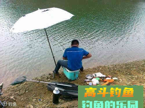 自制丁香蚯蚓饵，钓鲫鱼必备