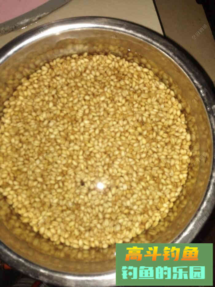 专钓鲫鱼鲤鱼无敌饵料，还不惹小鱼闹窝