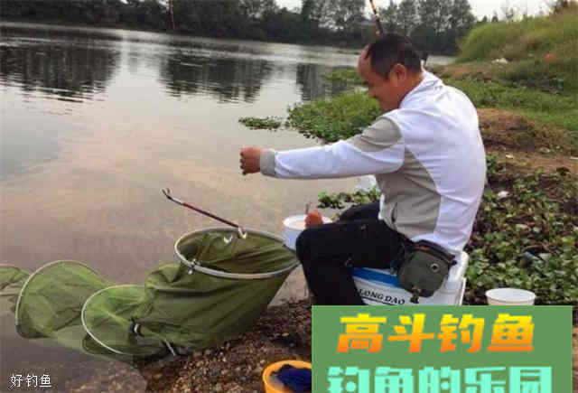 一款秋季通杀鲫鲤草的饵料配方