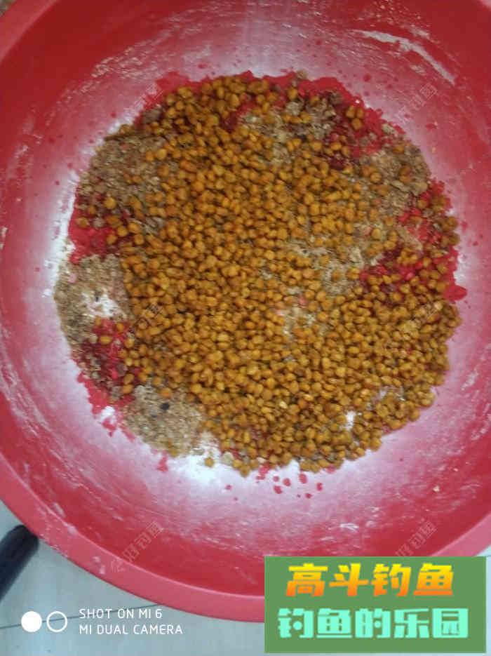 自制玉米诱鱼窝料，大窝口