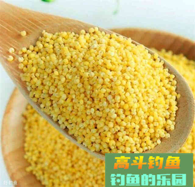 这种诱饵和饵料配方，在秋季使用效果很不错