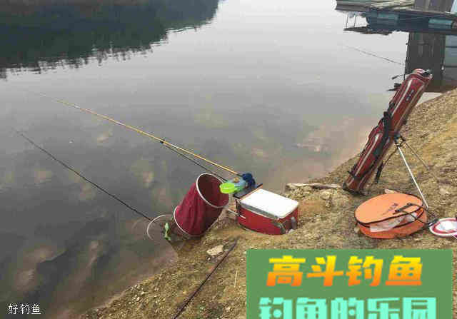 秋季到了，该换换你的用饵思路了