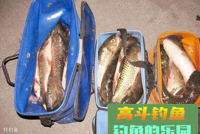 专攻大物的两款自制饵料配方，秋季钓鱼一定要用它！