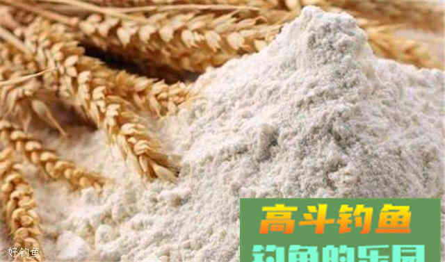 自制专钓大物的白面饵料，水库使用效果更佳