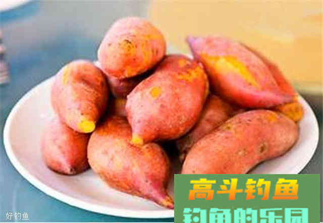 分享三款钓鲤鱼饵料配方，首选肯定是红薯