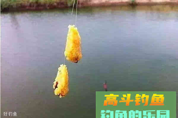 特制薯香饵料，入水5秒鲤鱼狂咬不止