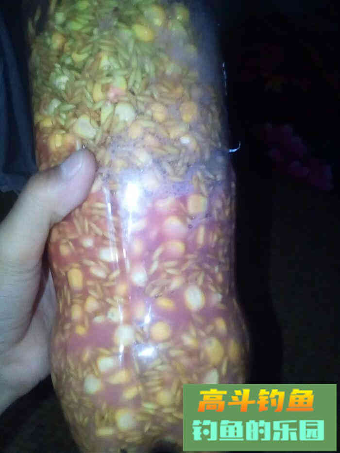 老司机自制稻谷打窝料，诱鱼快