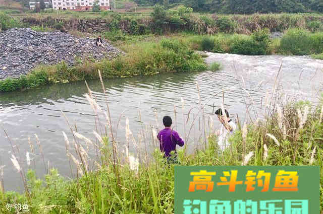 推荐一款9月份钓鲫鱼实用的饵料配方