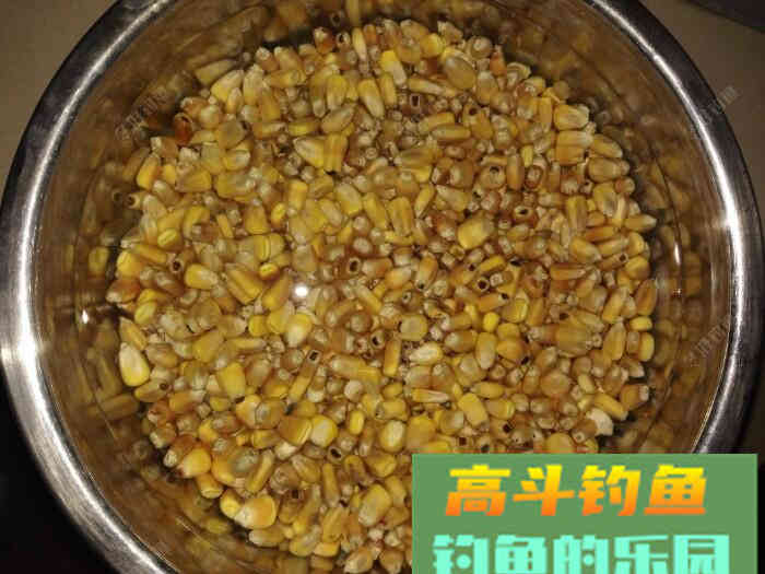 专钓鲫鱼鲤鱼无敌饵料，还不惹小鱼闹窝