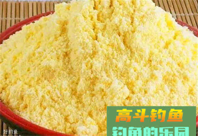 自制小麦玉米的面饵和窝料，超实用