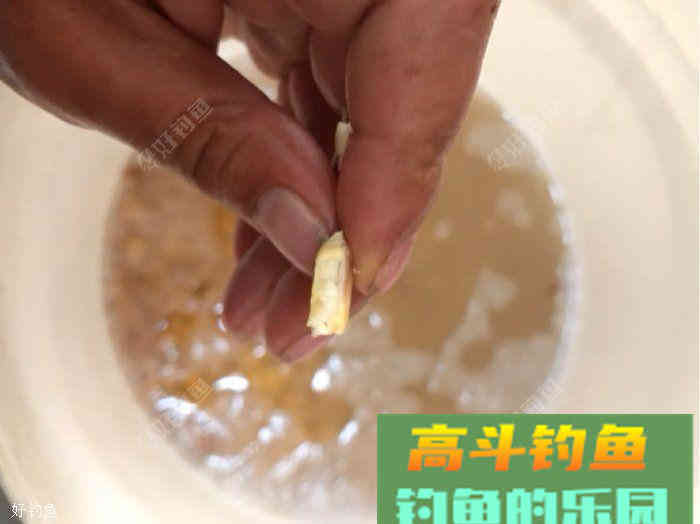 自制诱窝玉米，是爆护的节奏