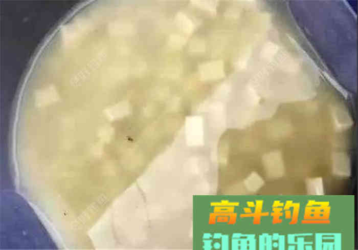 性价比超高的江鱼多功能饵料，了解下？
