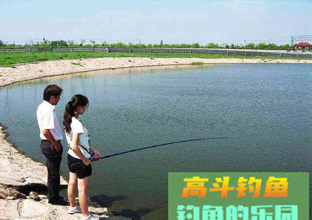 新手为何经常钓不到鱼？我以个人观点为你解惑
