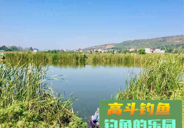 钓不到鱼就归结为屁股没坐对？您还别不信