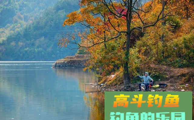 真正的钓鱼人高手，不看钓了多少鱼，得满足以下几点