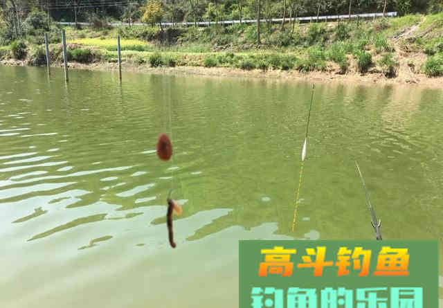 怪不得你总是断线跑鱼，原来是主线和子线的搭配出了问题