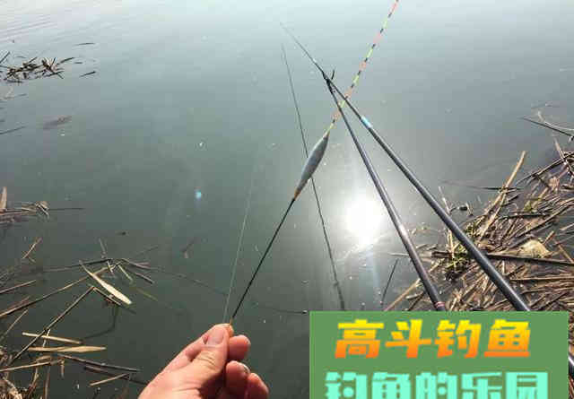 出现黑漂一定要提竿？不一定