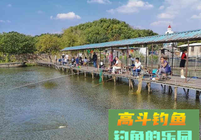 提竿不中鱼空抢多，应先分析原因，在改善钓法