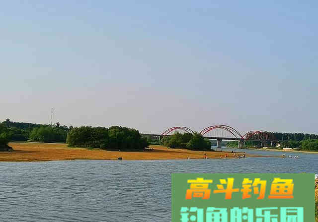 新手钓鱼牢记3不要，钓好鱼不是什么难事