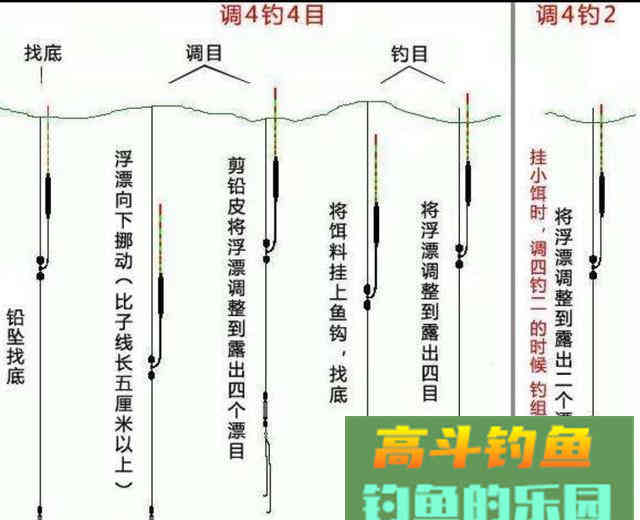 野钓知识大全，新手福音，初钓者必须了解的一些知识