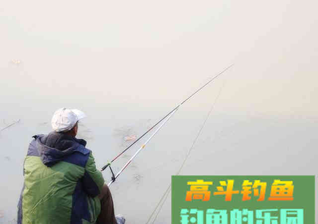 新手为何经常钓不到鱼？我以个人观点为你解惑