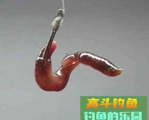 浅水多草钓滩涂，卧漂看不见，立漂易挂草，怎么办