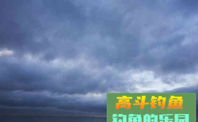 同样的饵料，同水域垂钓为何效果不同