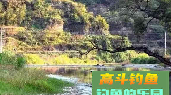 浅水多草钓滩涂，卧漂看不见，立漂易挂草，怎么办