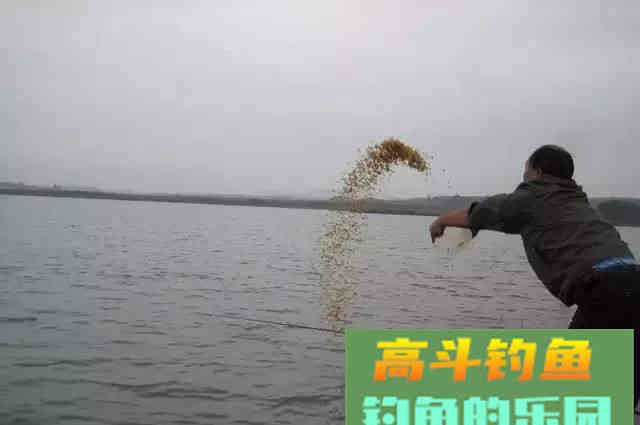 野钓时补窝就停口，难道真的是动静太大吓着鱼了么