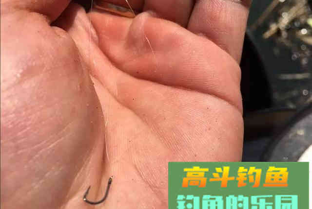 怪不得你总是断线跑鱼，原来是主线和子线的搭配出了问题