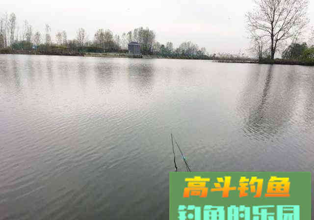 初学钓鱼，不想走弯路，要牢记这8大注意事项