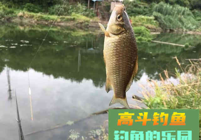 怪不得你总是断线跑鱼，原来是主线和子线的搭配出了问题
