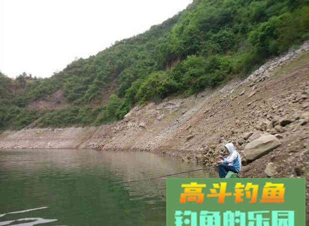 水退一尺鱼退一丈，搞明白这句话，涨落水都能钓到鱼