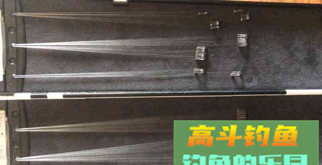 钓鱼时的注意事项和技巧分享