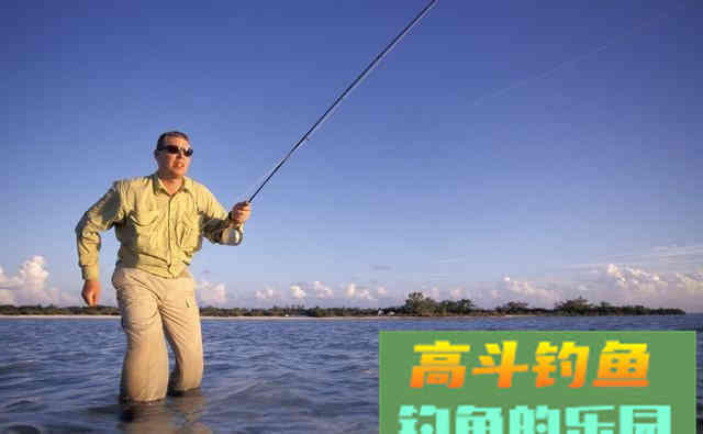 野钓知识大全，新手福音，初钓者必须了解的一些知识