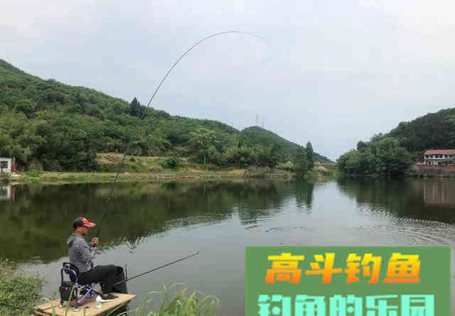 出现黑漂一定要提竿？不一定