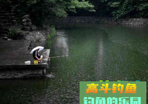 为什么说找对鱼层钓对水层，想要空军都难
