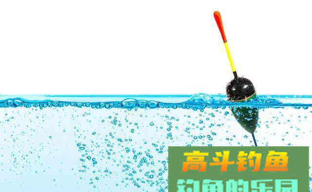 新手为何经常钓不到鱼？我以个人观点为你解惑