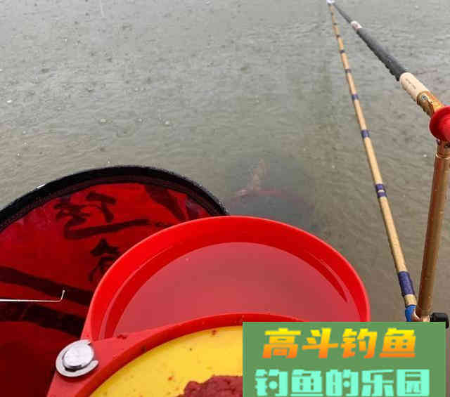 钓鱼圈的不听老人言，吃亏在眼前
